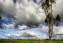 B体育:顶流回归 冰墩墩“皮肤”上新 “蛇墩墩”发布亮相!央视新闻客户端.