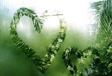 B体育：[NBA]约基奇28分 送四连败.