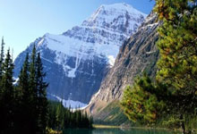 达尼洛：我被瓜帅洗脑了，很高兴能够在他手下踢球并向他学习.