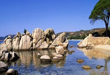 B体育：[国际足球]内马尔告别新月 回归桑托斯.